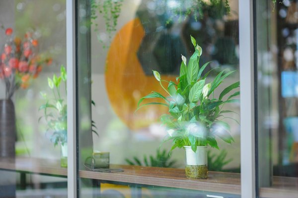 Les secrets de la cuisine française à découvrir