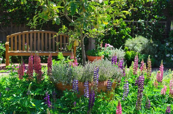 Banc de jardin hespéride: élégance et confort