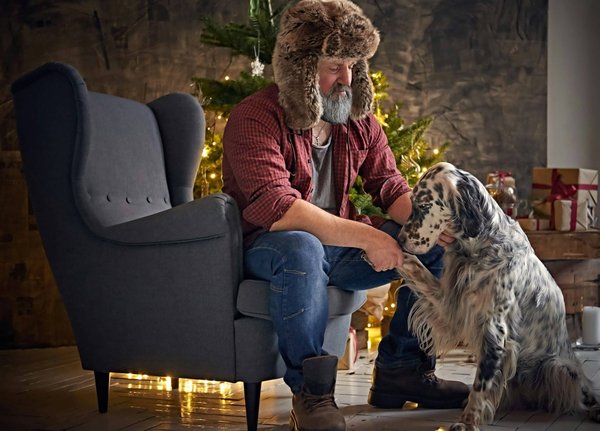 Comprendre un chien lof : critères et coûts d'inscription